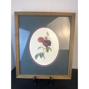 Botanical Framed Picture Classic Decor 13x15 Antique Gold Frame
